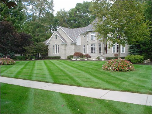 lawn care and landscaping